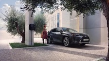 lexus_ux_300e_electric_2023-05.jpg